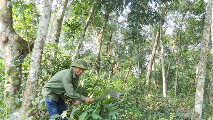 Bhrợ cha k’van tơợ crâng k’junh