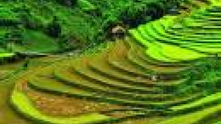 Tây Bắc zư lêy crâng đhị m’pâng hân noo ch’nọong xớơt