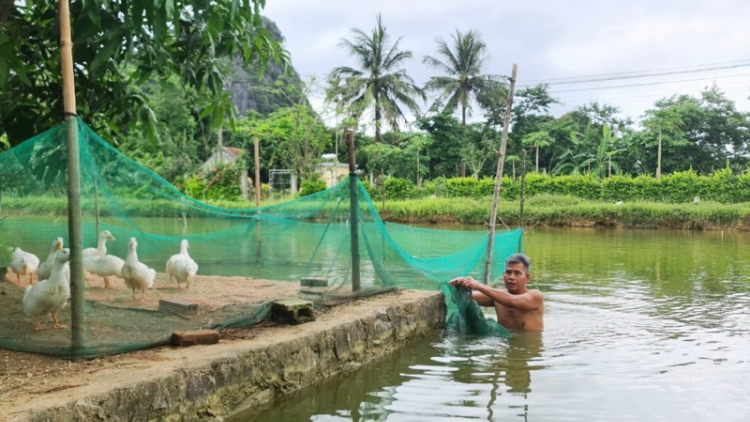 Ma nưih Vân Kiều hâng hơnh 65 c’moo đơơng tô Ava Hồ