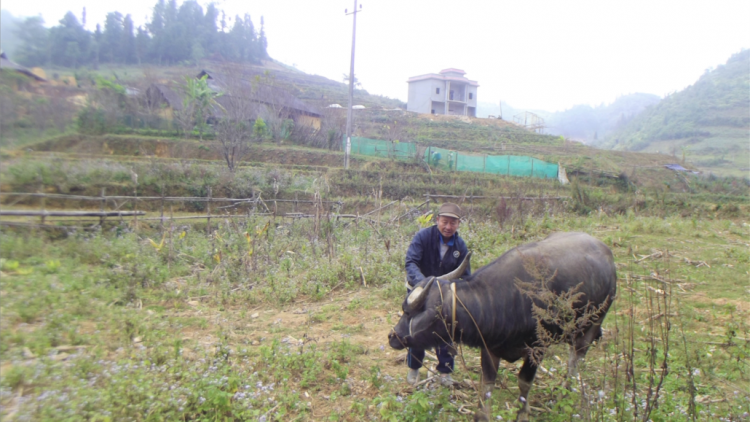 Pr’đhang tr’mông tr’meh k’rong zâp râu âng Giàng Seo Giáo