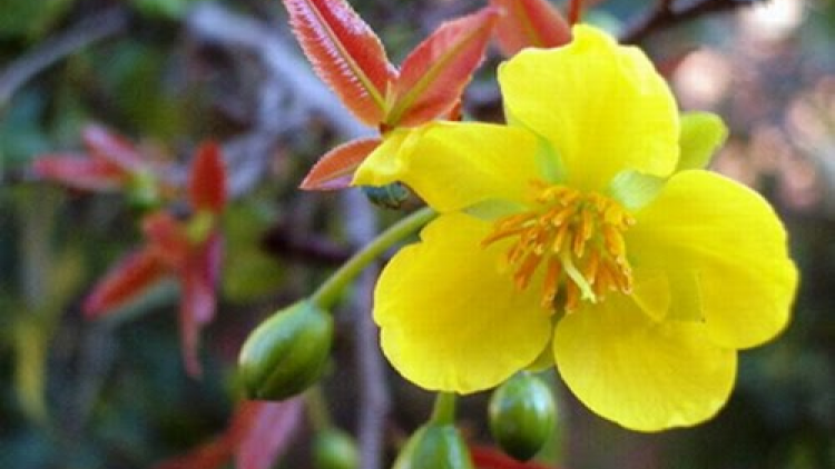 T'RUIH T'NGAY 9/3/2020