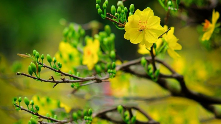 T'RUIH PA XUL T'NGAY 2-2-2022