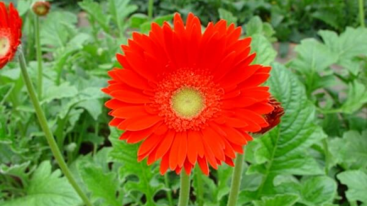 T'RUIH PA XUL T'NGAY 24/3/2021