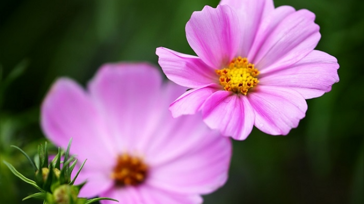 T’RUIH T’NGAY 23/6/2022