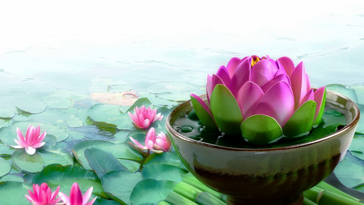 T'RUIH PA XUL T'NGAY 4-2-2022