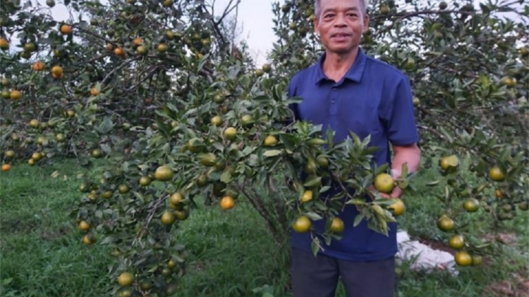 Đhanuôr da ding k’coong Quảng Nam bhrợ t’vaih cr’van cr’bhộ tơợ tơơm pay cha p’lêê
