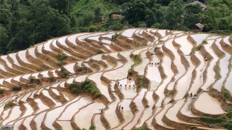 Chắp kiêng du lịch chấc lêy năl cóh Yên Bái