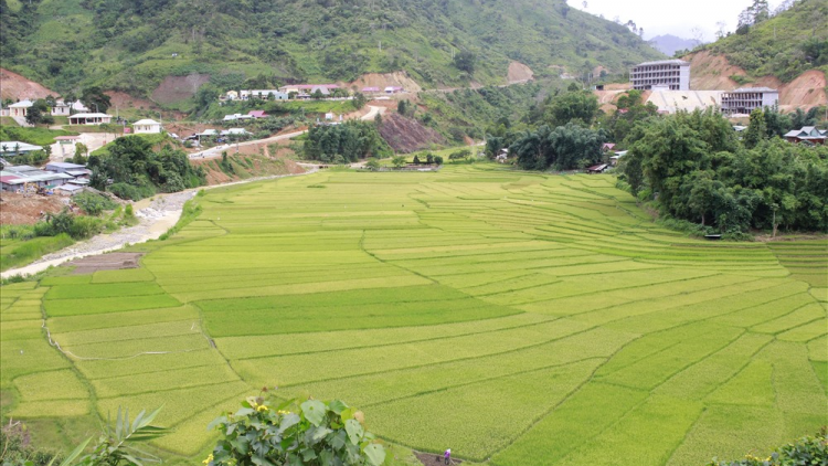 Chô ooy Tây Giang lưm lêy ruộng chuôr
