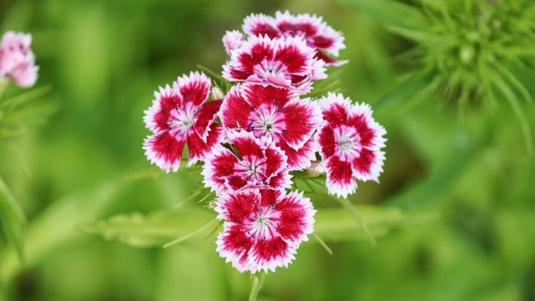 T'RUIH T'NGAY 4/7/2022