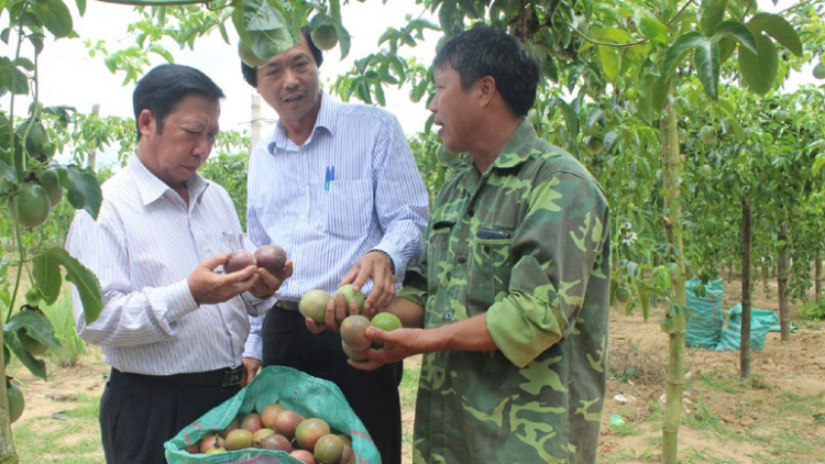 Phú Yên bhrợ pa dưr ca van tợơ pazêng c’rọol bhươn tông đhị bhươn bôl đhr’đấc