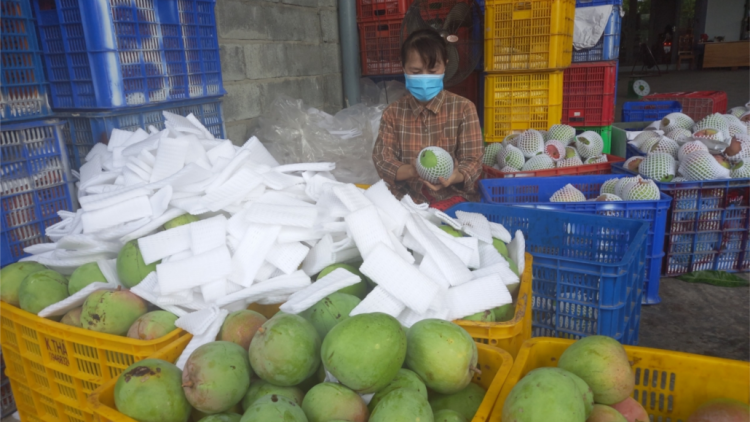 Khánh Hòa: Chrun Úc chr’năp xiêr đhanuôr lưm  k’đhap đăh pa câl