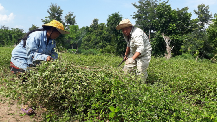 C’léh liêm choom tơợ troọng a’xông cóh chr’val Lìa,  chr’hoong Hướng Hoá