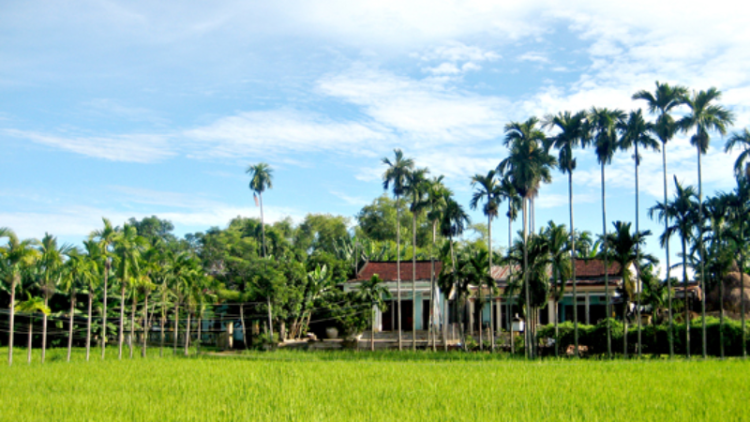 Quảng Nam: Đhanuôr lơi ruộng glúh ooy phố t’bơơn tr’mông