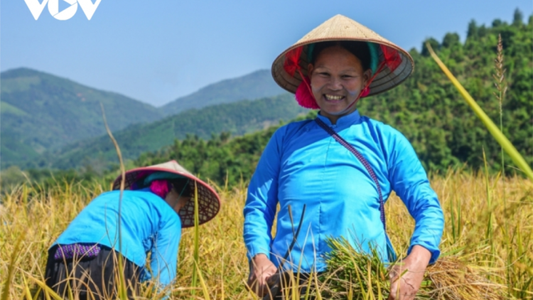 Xay bhrợ apêê xa nay bh’rợ âng k’tiếc k’ruung zr’lụ đhanuôr acoon coh đhị apêê vel đong
