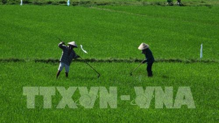 Thừa Thiên-Huế gung dưr padưr pa’xớc nông nghiệp công nghệ dal