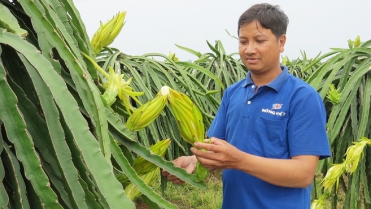 Ma nuýh chóh Thanh Long loom bhrôông đhị Đồng Tháp bơơn k’rong câl pazêng p’lêê ơy ta pếêh
