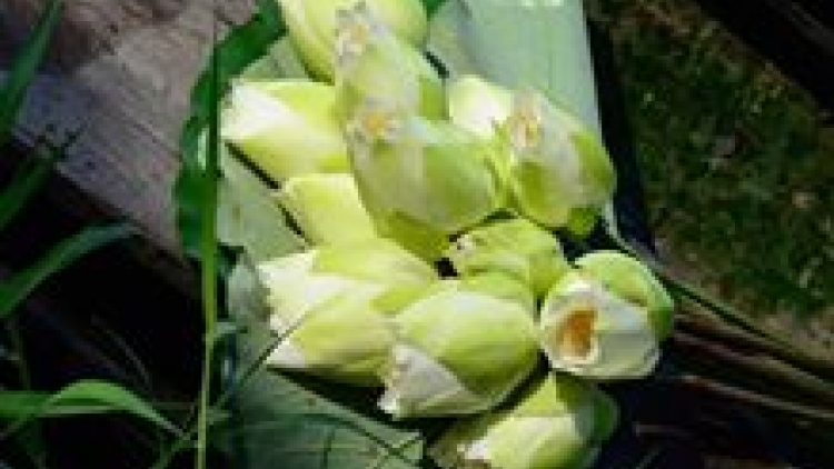 T'RUIH PHÁT THANH T'NGAY 13/1