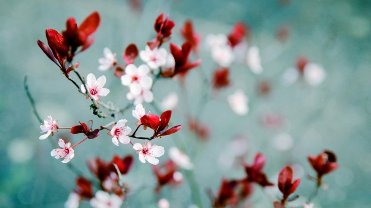 T'RUIH PHÁT THANH T'NGAY 25/1