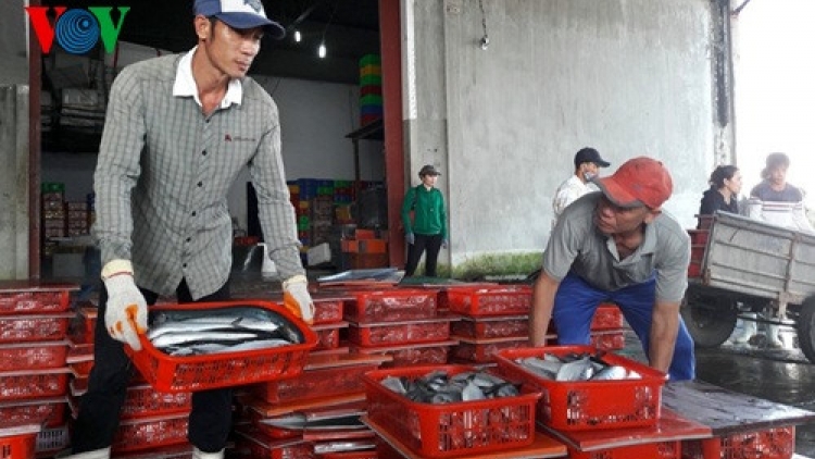 Muy c’moo xang râu nha nhự môi trường:Biển dưr ma mông, a chông a xiu đha hum yêm
