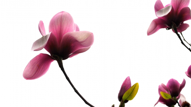 T'RUIH PHÁT THANH T'NGAY 09/4/2017