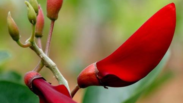 T'RUIH PHÁT THANH T'NGAY 03/5/2017