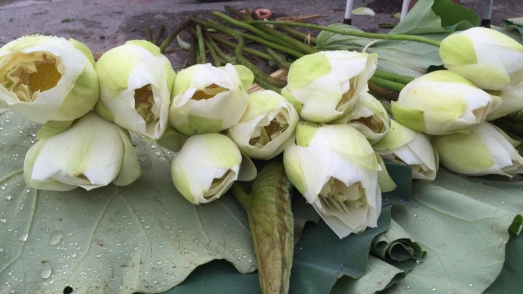 T'RUIH PHÁT THANH T'NGAY 18/7/2017