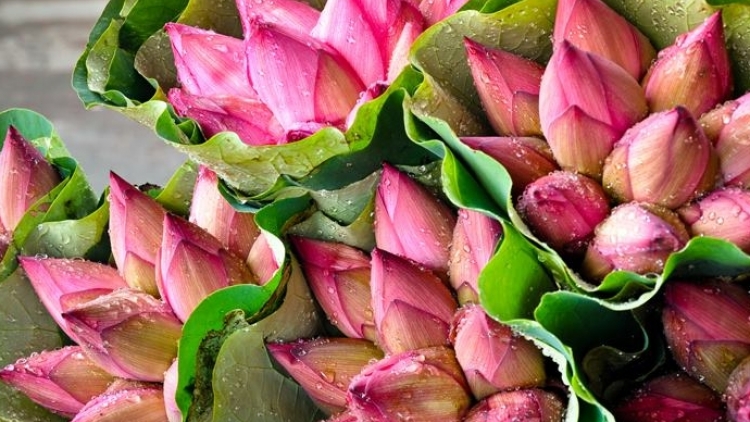 T'RUIH PAXUL T'NGAY 29/9/2017