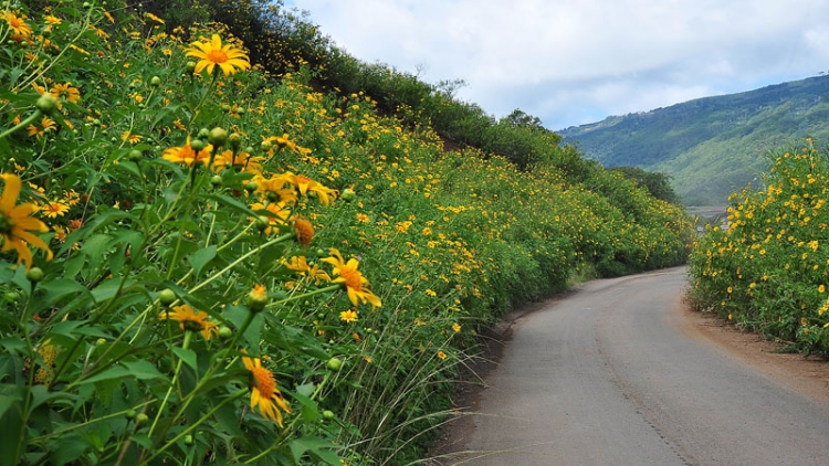 T'RUIH PAXUL T'NGAY 01/9/2017