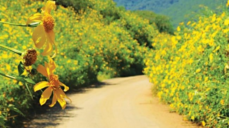 T'RUIH PAXUL T'NGAY 12/9/2017