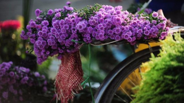 T'RUIH PAXUL T'NGAY 18/9/2017