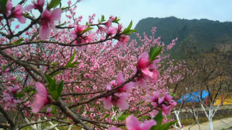 Bơr pêê rau cr’ay buôn lưm đhị p’niên k’tứi cóh cr’chăl x’rịa c’moo