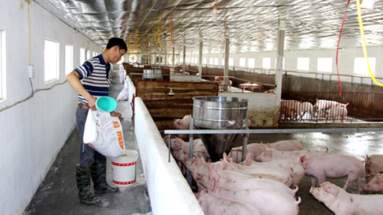Khánh Hòa: Lấh 100 tỷ đồng k’rong bhrợ zr’lụ cút bh’zi pa zum