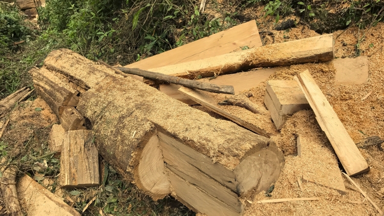 Điện Biên: t’bhlâng k’đhơợng zư lêy crâng đăn k’noong k’tiếc