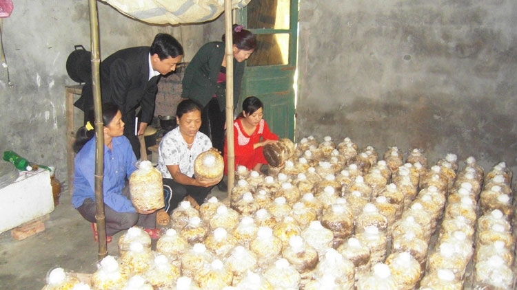 Pachoom bh’rợ tr’nêng vel bhươl t’mêê p’têết pazưm bhrợ padưr bh’rợ học tập cộng đồng
