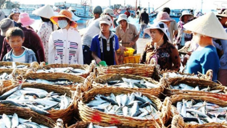 Đha nuôr bơơn a xiu Thừa Thiên – Huế đươi dua zên chroót pa chô râu nha nhự môi trường biển liêm choom