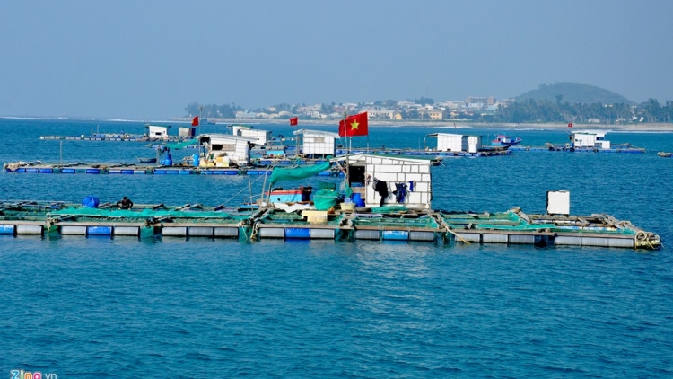 Quảng Ngãi: Bh’rợ băn chóh thủy sản cóh đảo Lý Sơn