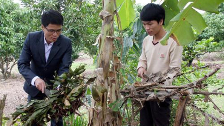 Đông Bắc : 70 ta đhâm c’mor vêy ta đoọng chô bhrợ Phó Chủ tịch chr’val cắh ơy ta đoọng bhrợ têng bh’rợ tr’nêng t’mêê