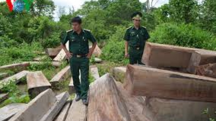 Quảng Nam: Bơơn lêy manuýh chở đơơng n’loong chr’nắp lất xa nay cóh ô tô đhị zr’lụ k’noong k’tiếc