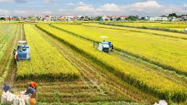 Festival quốc tế nông nghiệp zr’lụ Đồng bằng k’ruung Cửu Long nắc vêy ta bhrợ têng đhị Cần Thơ