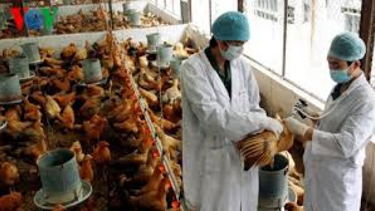 Pa ghít zêl pr’lúh cúm a tứch a đha xoọc dưr váih cóh k’noong k’tiếc hêê