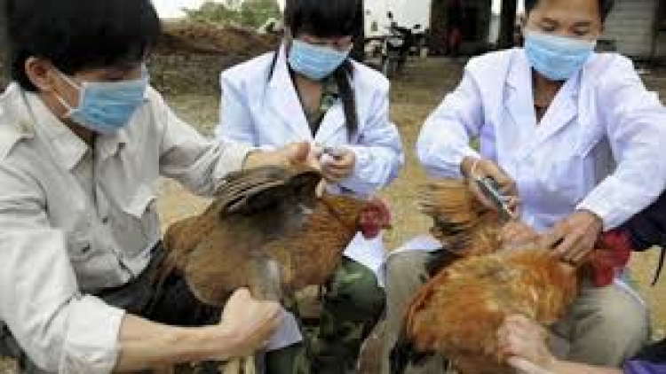 Nam Định lâng Nghệ An zêl cha groong pr’lúh cúm cóh bh’năn a tứch a đha
