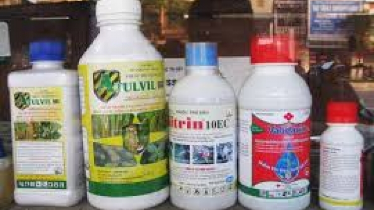 Quảng Trị lấh m’pâng đông pa’câl zanươu zư lêy tơơm chr’nóh cắh vêy giấy phép