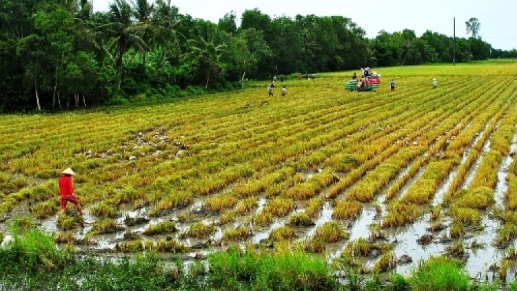 Apêê tỉnh zr’lụ Tây Nguyên k’rong bhrợ têng cơnh t’mêê clung ha rêê pa tệêt lâng bhrợ têng vel bhươl t’mêê