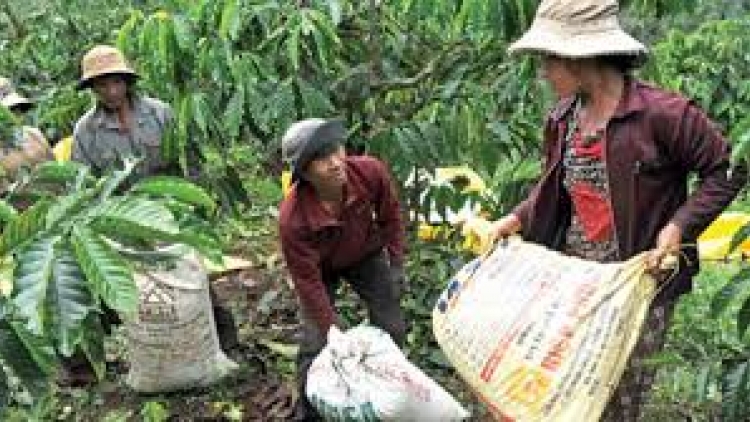 Đắc Lắc t’bhlâng t’bấc đợ cà phê ơy ta chế biển liêm choom