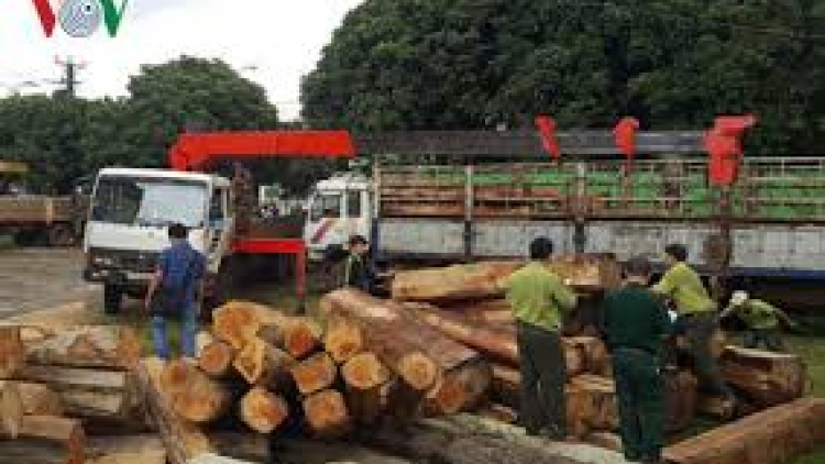 Gia Lai: Khởi tố hình sự tu bhiệc pay n’loong đhị chr’hoong Chư Păh