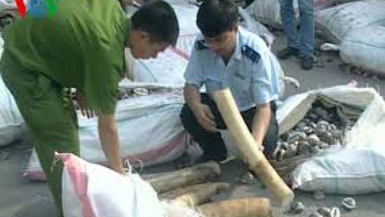 Ban k’đhơợng xay 389 t’bhlâng bhrợ k’rơ bh’rợ zâl cha groong c’bhúh tr’câl tr’bhlêy lất xa nay, bhrợ lất cóh bh’rợ tr’câl tr’bhlêy lâng hàng g’lớc