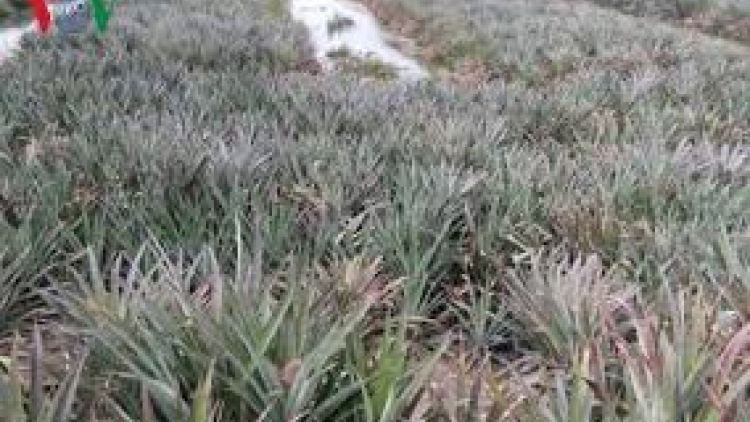 Quảng Trị: K’rong pa dưr  chóh t’nơơm zứa (chứa)