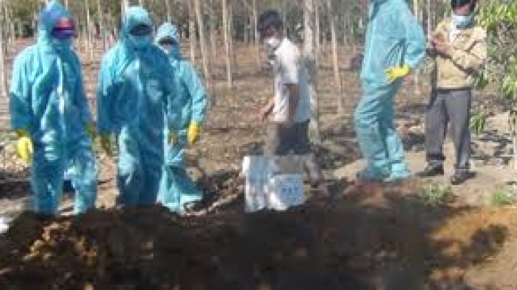 Thừa Thiên Huế: T’bhlầng đương zêl cha groong pr’lúh cúm A