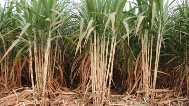 Kon Tum bhrợ têng clung chóh a tạo ga mắc