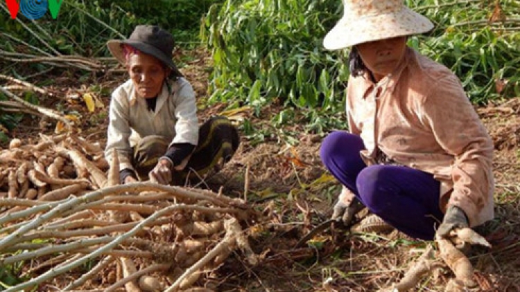 Ninh Thuận: Pazum đh’rứah đoọng chóh arong cắh ơy lấh liêm choom, đhanuôr chóh ặt zâng lâng râu ta xr’dô